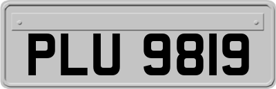 PLU9819