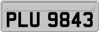 PLU9843