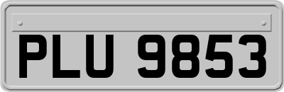 PLU9853