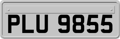 PLU9855