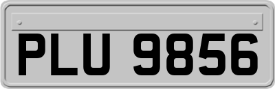 PLU9856