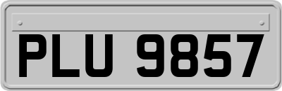 PLU9857