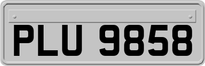 PLU9858