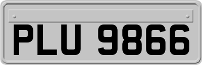 PLU9866