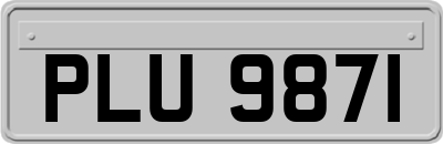 PLU9871