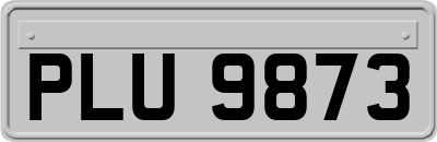 PLU9873