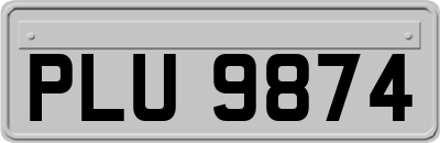 PLU9874