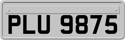 PLU9875