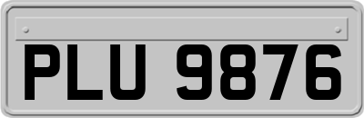 PLU9876