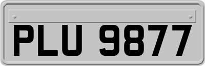 PLU9877