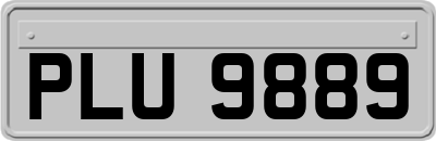 PLU9889