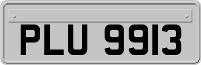 PLU9913