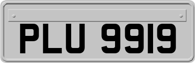 PLU9919