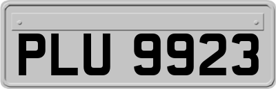 PLU9923