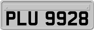 PLU9928