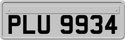 PLU9934