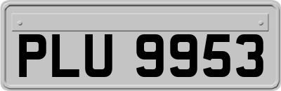 PLU9953