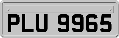 PLU9965