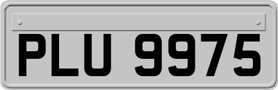 PLU9975