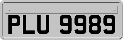 PLU9989