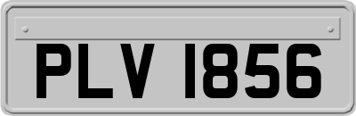 PLV1856