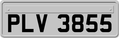 PLV3855