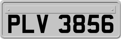 PLV3856