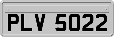 PLV5022