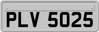 PLV5025