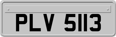 PLV5113