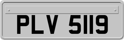 PLV5119