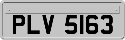 PLV5163