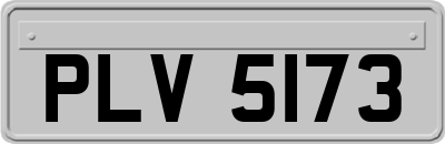 PLV5173