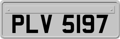 PLV5197