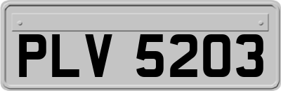 PLV5203