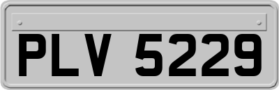 PLV5229