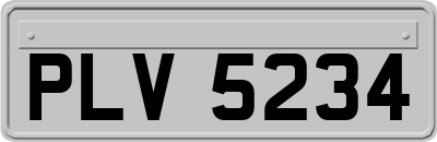 PLV5234