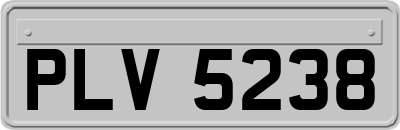 PLV5238