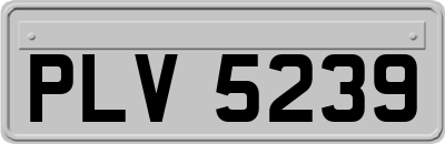 PLV5239