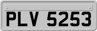 PLV5253