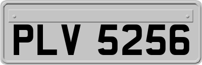 PLV5256