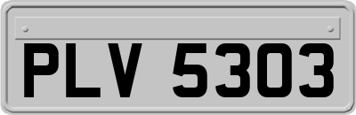 PLV5303