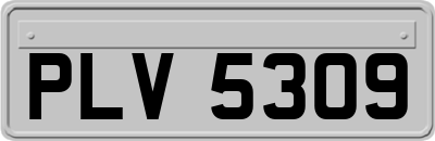 PLV5309