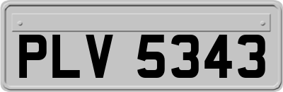 PLV5343