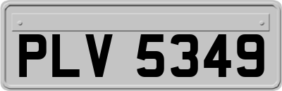 PLV5349