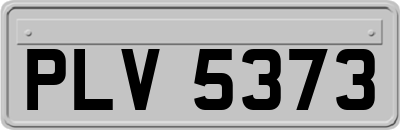 PLV5373