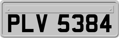 PLV5384