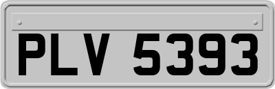 PLV5393