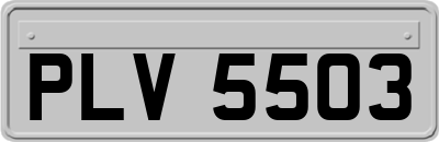 PLV5503