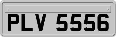 PLV5556